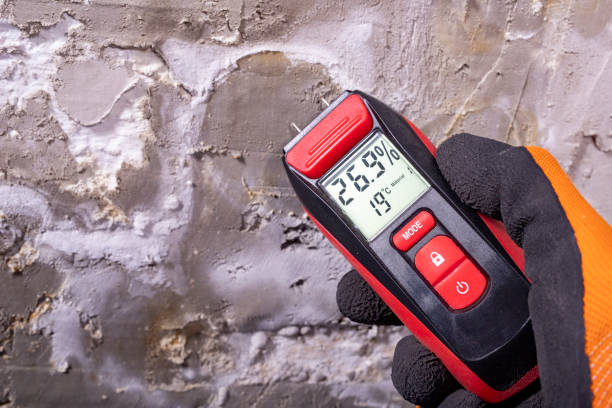 Best Commercial Mold Remediation in Pottsboro, TX