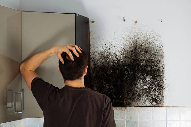 Best Emergency Mold Remediation in Pottsboro, TX