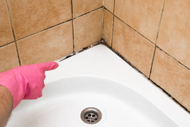 Best Residential Mold Remediation in Pottsboro, TX